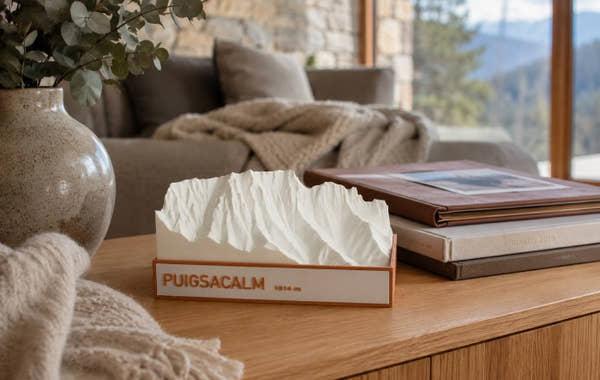 Maqueta en relleu del Puigsacalm