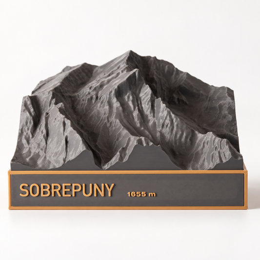 Sobrepuny