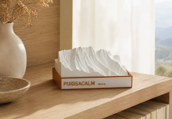 Maqueta en relleu del Puigsacalm