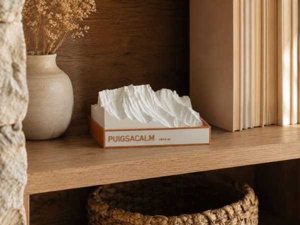 Maqueta en relleu del Puigsacalm